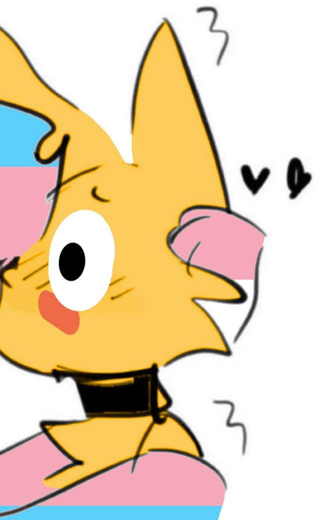 jacekpoz@fabrykajabo.li